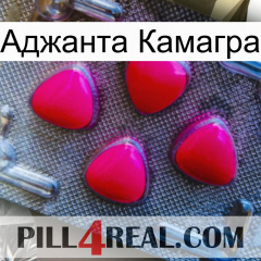 Аджанта Камагра 13